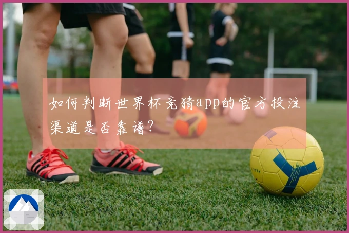 如何判断世界杯竞猜app的官方投注渠道是否靠谱？