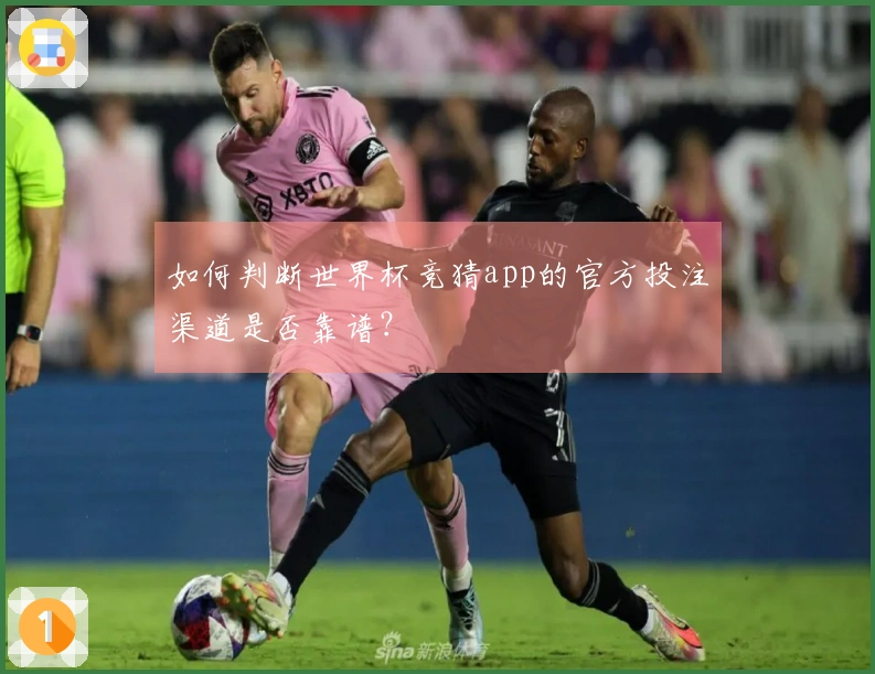 如何判断世界杯竞猜app的官方投注渠道是否靠谱？
